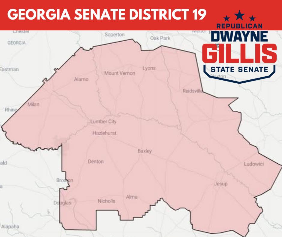 Georgia Senate District 19 Map